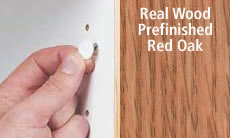 FastCap Peel & Stick Finished Wood Screw Cover Caps 9/16" 260 Caps (Red Oak)  FC.MB.916.PRO